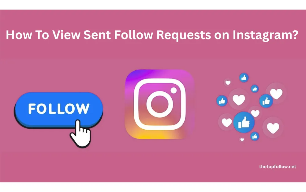 Quickly gain Instagram followers